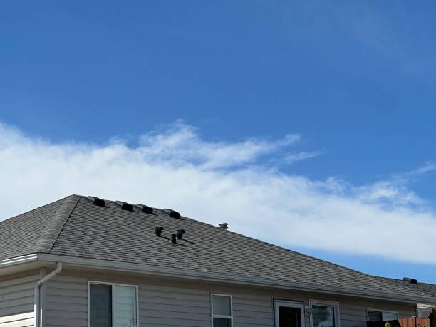 Best Cold Roofs  in Penn State Erie, PA